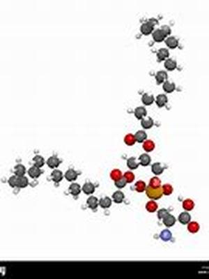 Pantothenic acid