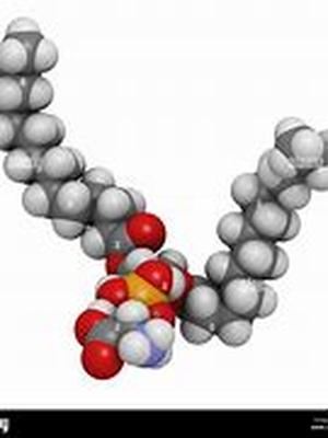 Phentermine may be the Right Solution to Reduce Obesity