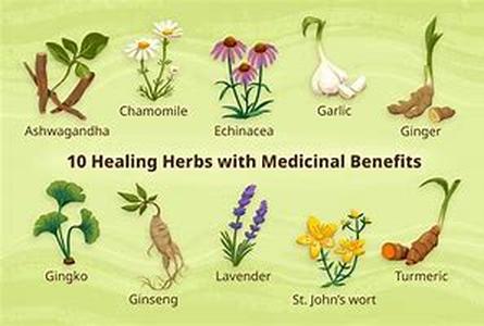 Herbal Nutrition Supplements