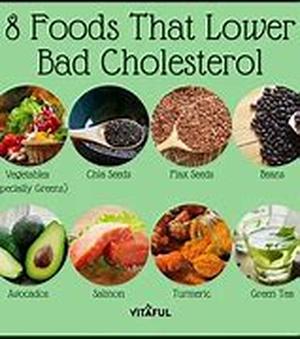 Keyword Phrase: Cholesterol Diet