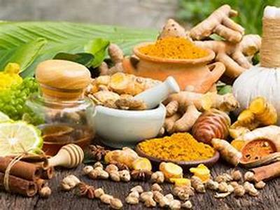 Herbal life distributors