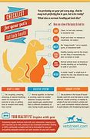 Pet Health Insurance Veterinary eye Concerns for Pet Dogs