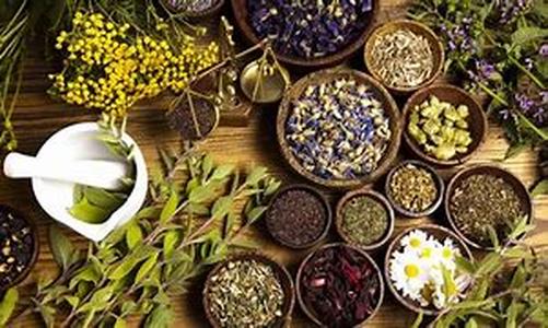 Herbal Remedies For Migraines