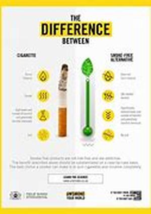 Quit Smoking Cold Turkey,A Free Method by Nguang Nguek Fluek