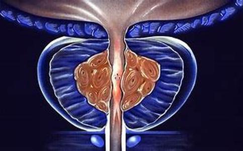 Know about Health Supplements