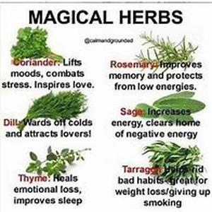 Herbal Muscle Relaxant