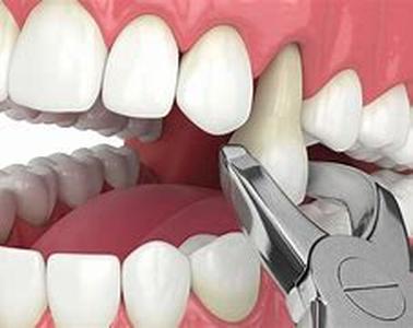 Dental Assistant Relationships with other Staff