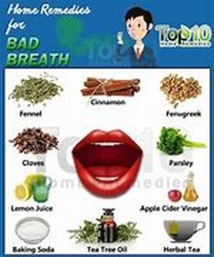 Can Antioxidants Prevent Cellular Damage