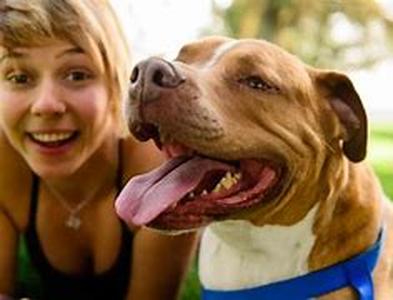 How To Pick the Right Dog Food