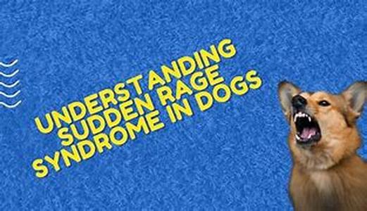 Delight Your Dog With A Natural Dog Treat