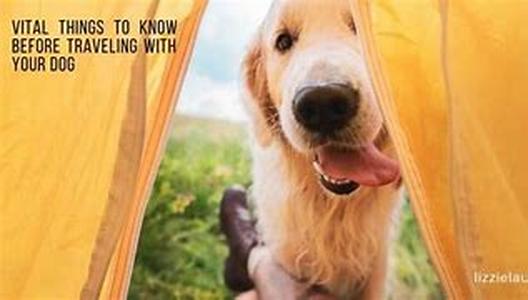 The Value Of The "Conditioned Response Principle" In Dog Training