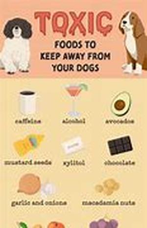 Tips for Understanding Your Cat