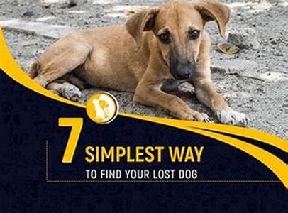 What You Should Know Before Deciding To Buy Puppies