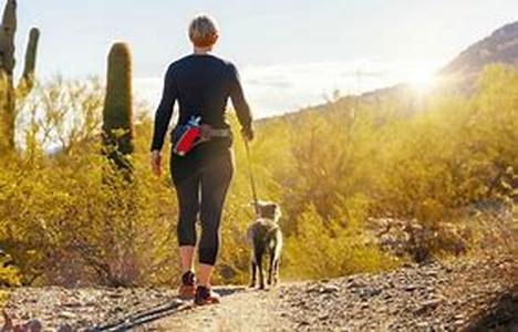Preventing Your Dog From Catching Diseases