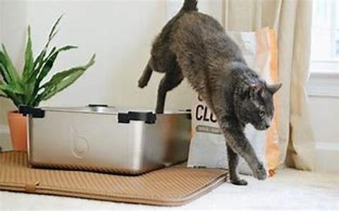 Tips to Keep Your Pet Calm During Holiday Celebrations