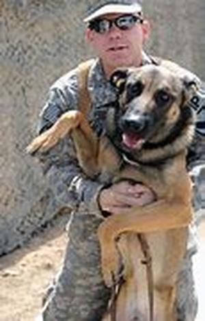 Adopting A Dog Going Through The Adoption Process