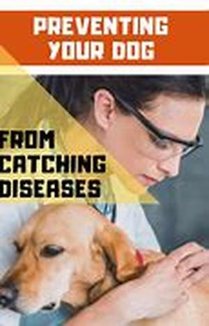 Premium Dog Food - Are You Sure