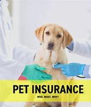 Pet Insurance and Why You Can't Afford To Be Without It