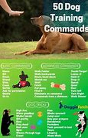 How To Stop Your Cat Scratching - Get Rid Of Those Fleas