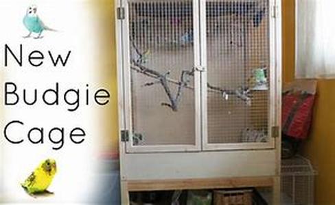 Toilet Training for Dogs - Tips from Animal Behaviorists