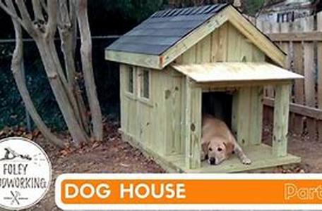 Achieving Dog Training Success With The 18 "Don'ts" Rules