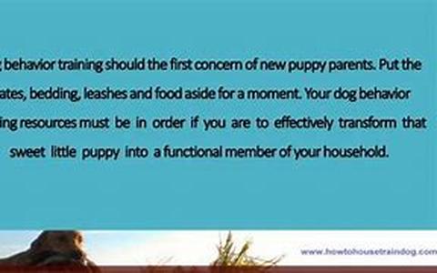 Dog Barks Continuously While Owners Eat