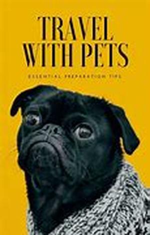Things You Should Think About Before Adopting A Dog