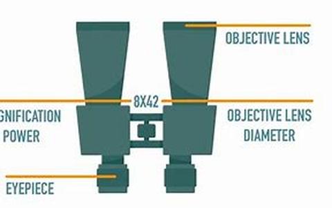 Have You Heard Of Steiner Binoculars