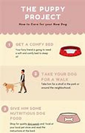 Dog Behavior Training - Dog Aggression Toward Its Owners