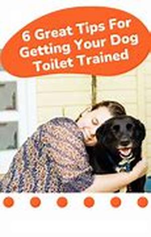 5 Great Gift Ideas for Pet Lovers