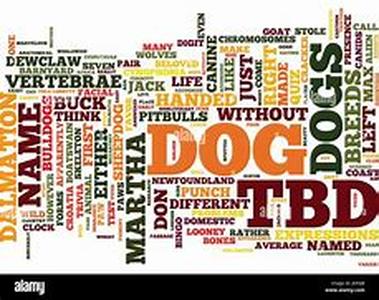 Teaching An Old Dog New Tricks  How To Train Your Dog