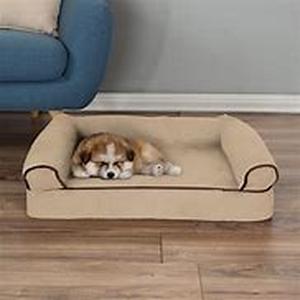 Dog Accessories