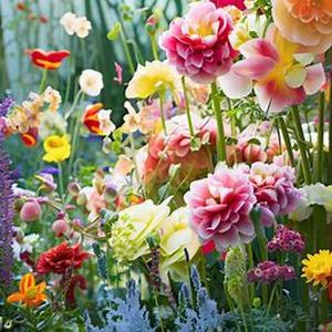 Different Kinds of Spring Flowers  Spring season is a sign of new beginnings and delights after a long winter season