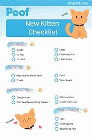How Often Will I Need to Take Kitty to the Vet
