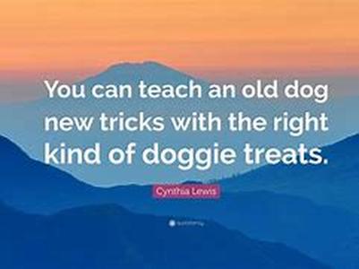 Camping with Your Dogs - Ten Commandments