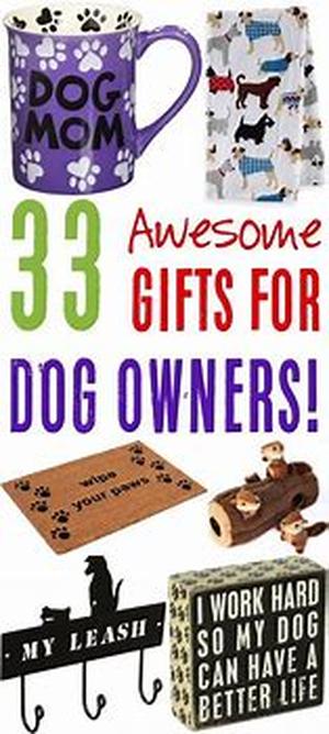 Get rid of the neighbors complaints with the efficient dog training collars
