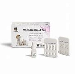 Teaching Directional Commands for the Dog Agility Beginner