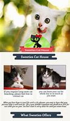 Knowing When to Take Kitty to the Vet