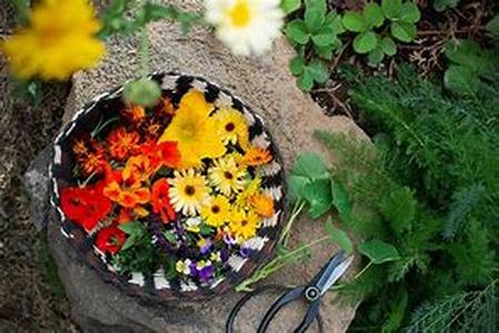Tips to Properly Care for Your Dried Flowers  Have you seen dried flowers before