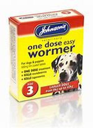 Dog Training  Dealing With Separation Anxiety