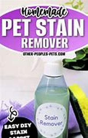 Pet Obesity - A Growing Concern