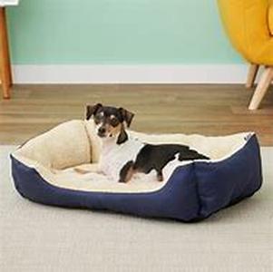 Dog Adoption Tips I Learned From My 2 Dogs