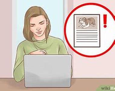 How to know when your dog is sick