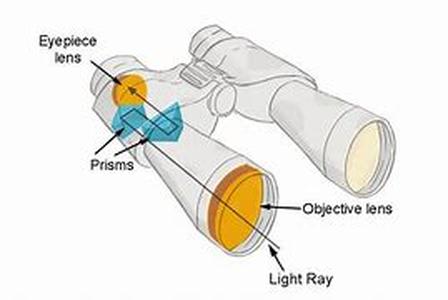Have You Read the Binocular Reviews
