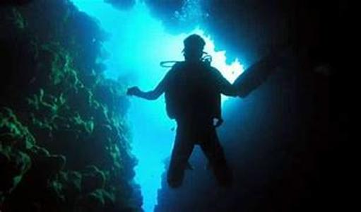 Setting up a Reef Saltwater Aquariums