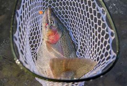 Finding Solitude While Fly Fishing in Montana