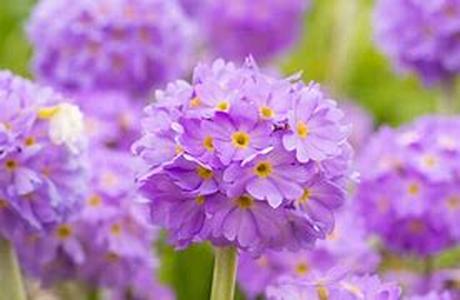 A Favorite Past Time:  Hobby Ideas You Will Like