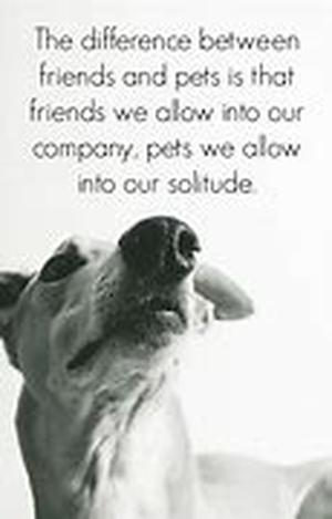 Americans Fight Like Cats And Dogs with Pet Allergies