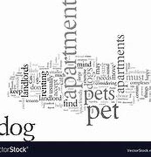 Dog Care - How To Care For Your Dog