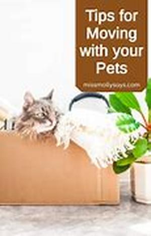 Tips on Cleaning Up After Pets